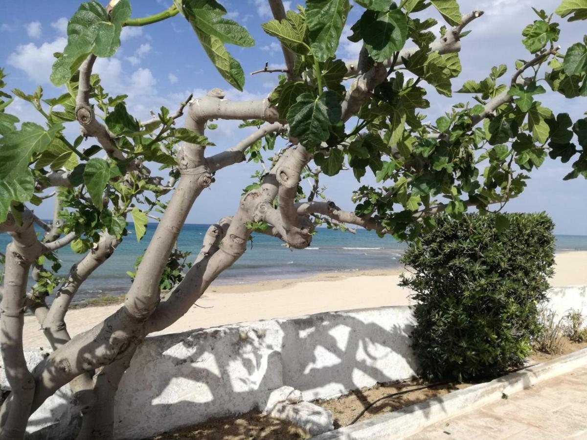 شقة Dimora Grazia In Riva Al Mare مونوبولي المظهر الخارجي الصورة